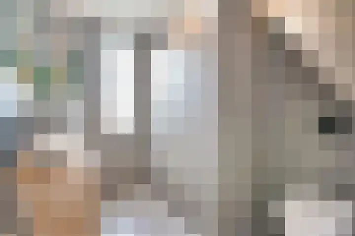 Gerner 42 Raalte thumbnail 33