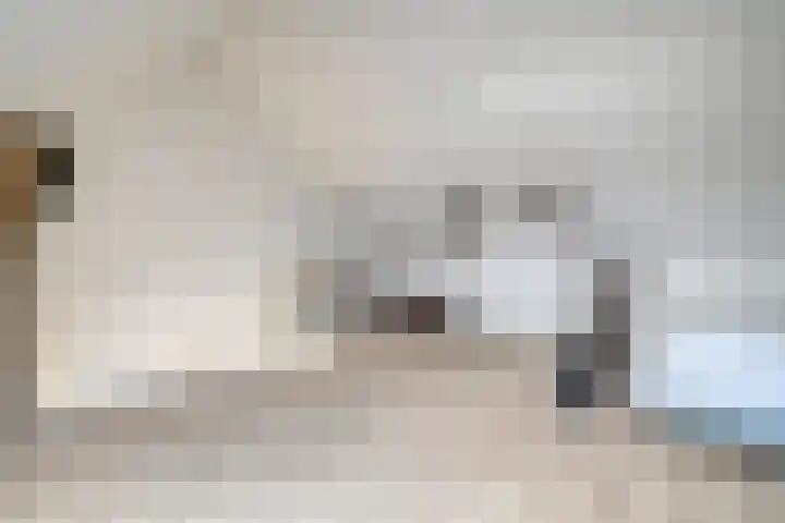 Gerner 42 Raalte thumbnail 37