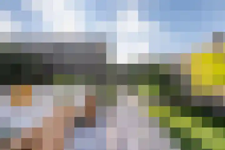 Gerner 42 Raalte thumbnail 42