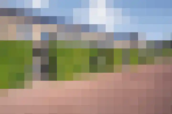 Gerner 42 Raalte thumbnail 43