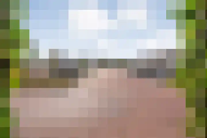 Gerner 42 Raalte thumbnail 44