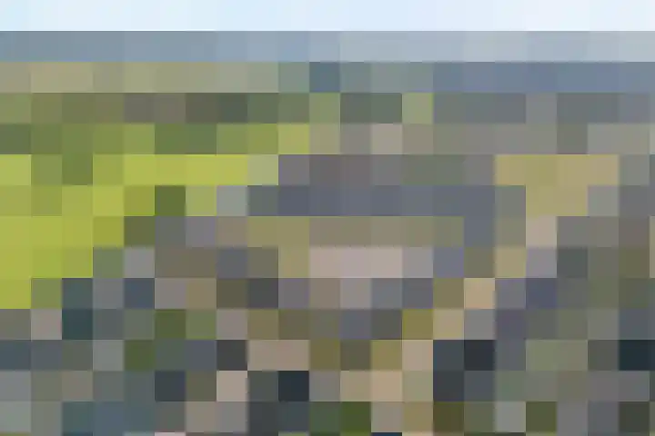 Gerner 42 Raalte thumbnail 6