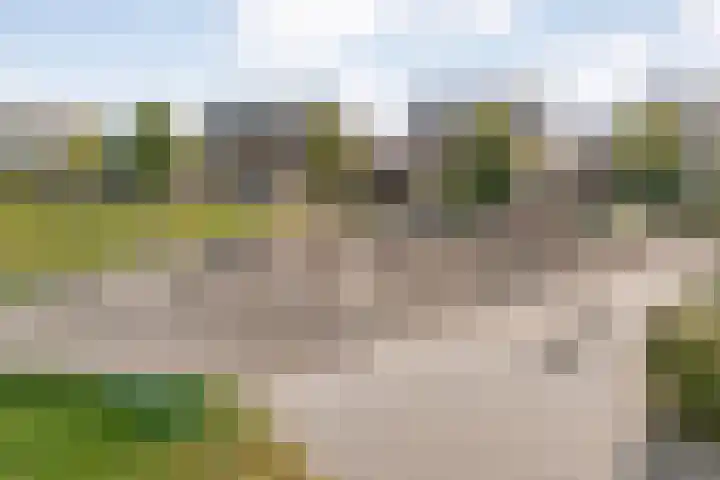 Gerner 42 Raalte thumbnail 8