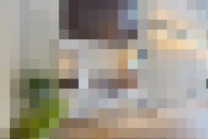 Gerner Es 12 A Dalfsen thumbnail 11