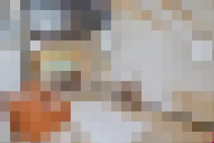 Gerner Es 12 A Dalfsen thumbnail 12