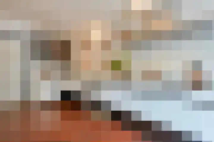 Gerner Es 12 A Dalfsen thumbnail 15