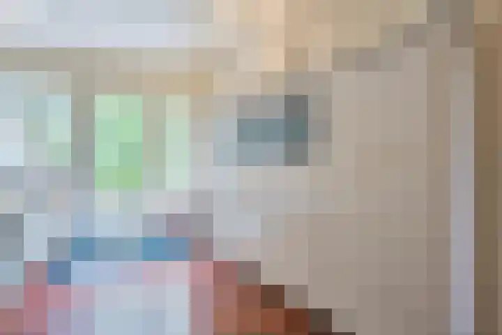Gerner Es 12 A Dalfsen thumbnail 16
