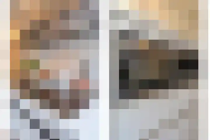 Gerner Es 12 A Dalfsen thumbnail 17
