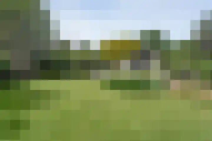 Gerner Es 12 A Dalfsen foto 2