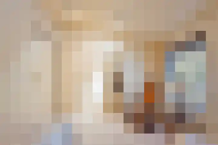 Gerner Es 12 A Dalfsen thumbnail 25