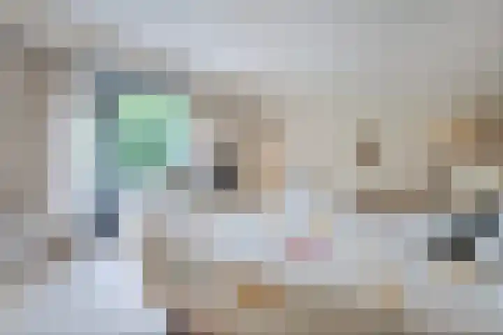 Gerner Es 12 A Dalfsen thumbnail 26