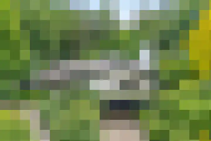 Gerner Es 12 A Dalfsen foto 3