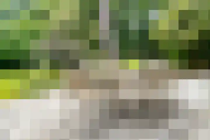Gerner Es 12 A Dalfsen thumbnail 33