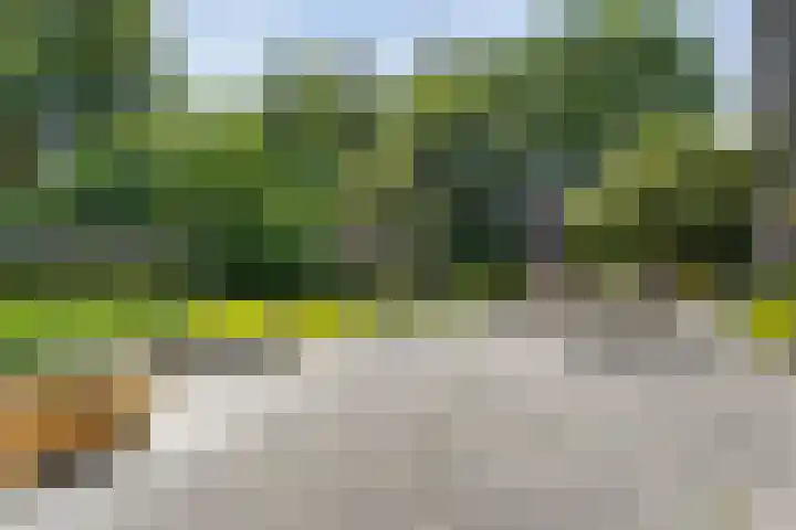 Gerner Es 12 A Dalfsen thumbnail 34