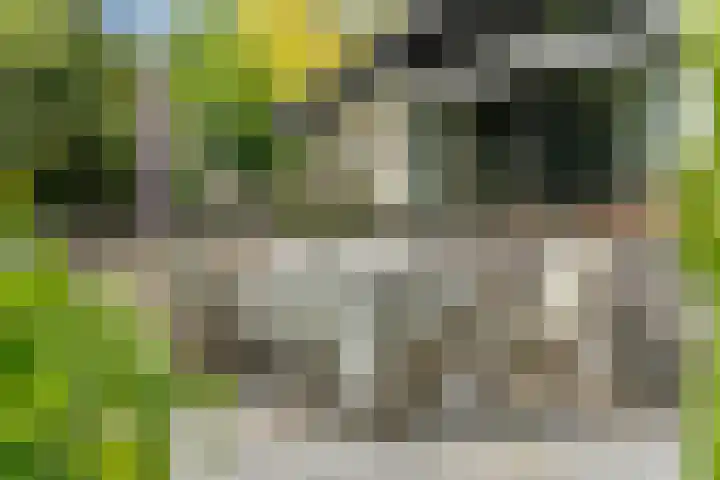 Gerner Es 12 A Dalfsen thumbnail 35