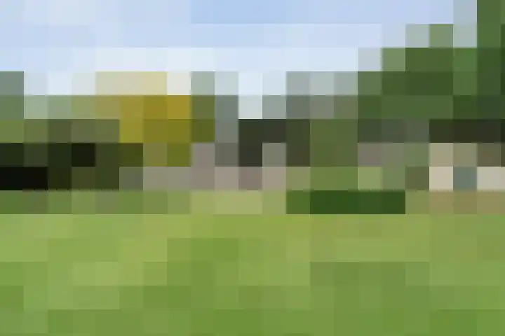 Gerner Es 12 A Dalfsen thumbnail 42