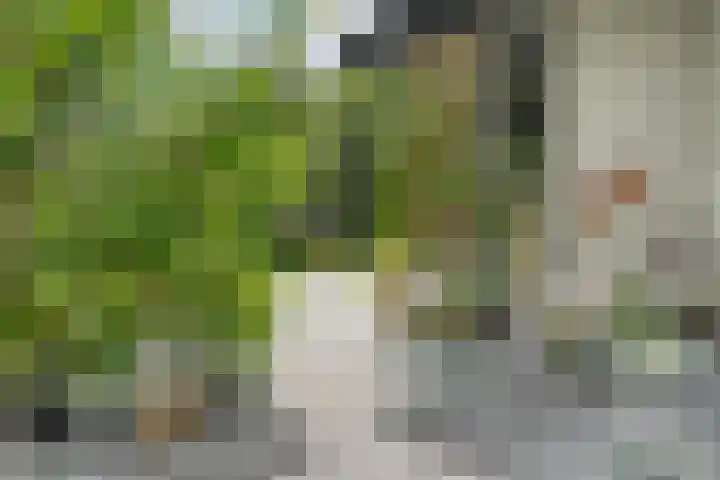 Gerner Es 12 A Dalfsen thumbnail 44