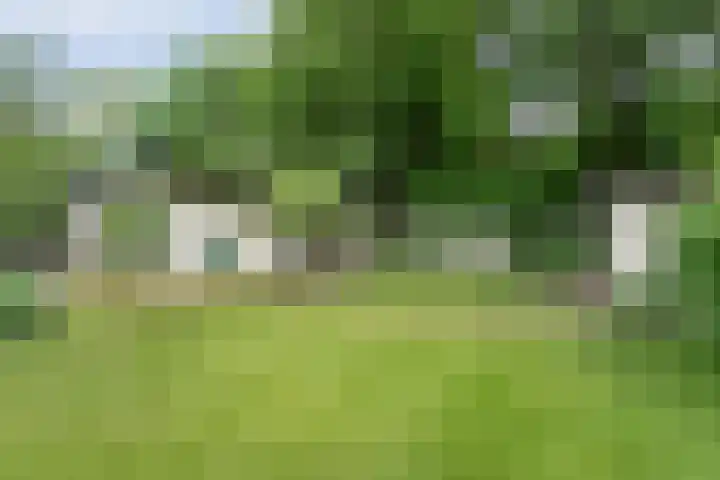 Gerner Es 12 A Dalfsen thumbnail 46