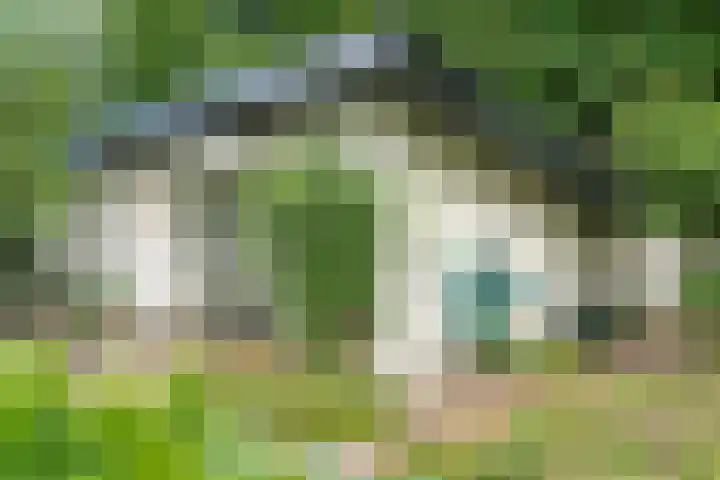 Gerner Es 12 A Dalfsen thumbnail 47