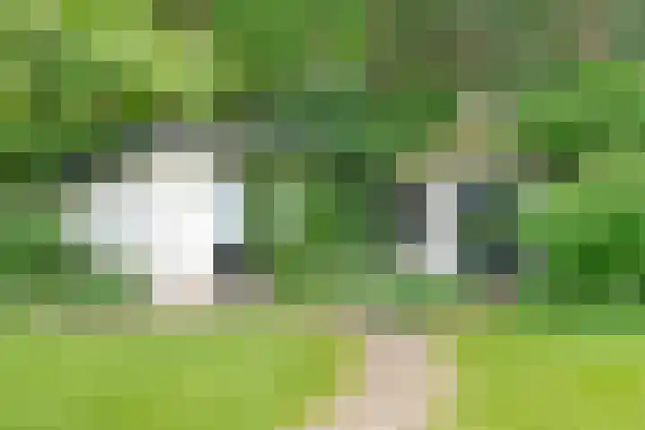 Gerner Es 12 A Dalfsen thumbnail 48