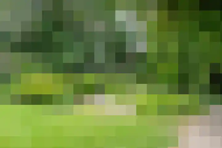 Gerner Es 12 A Dalfsen thumbnail 49