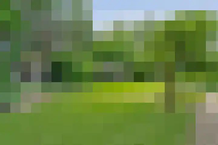 Gerner Es 12 A Dalfsen thumbnail 5