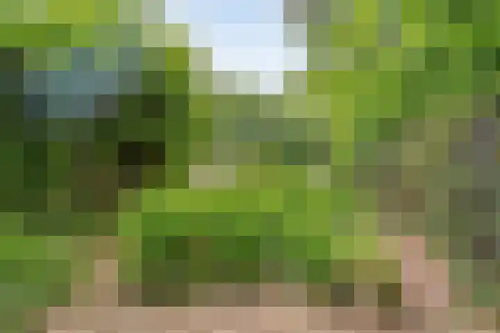 Gerner Es 12 A Dalfsen thumbnail 50