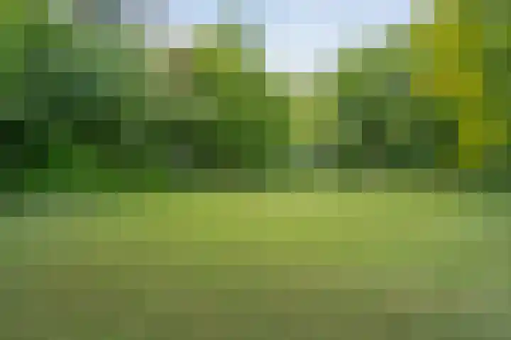 Gerner Es 12 A Dalfsen thumbnail 51