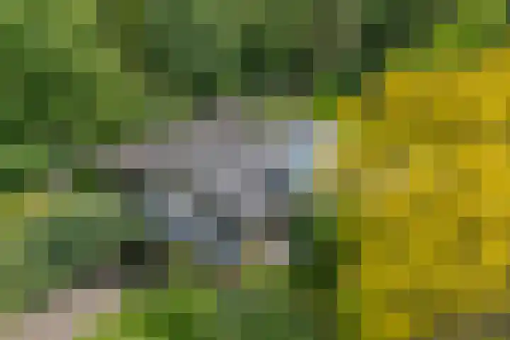 Gerner Es 12 A Dalfsen thumbnail 53