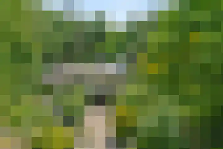 Gerner Es 12 A Dalfsen thumbnail 54