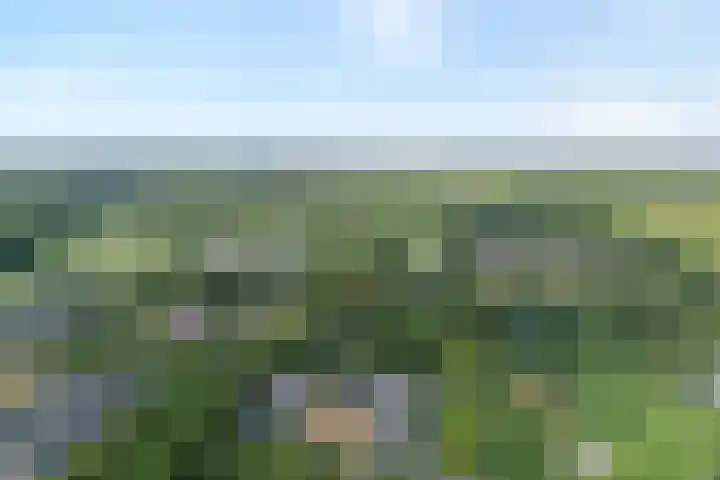 Gerner Es 12 A Dalfsen thumbnail 55