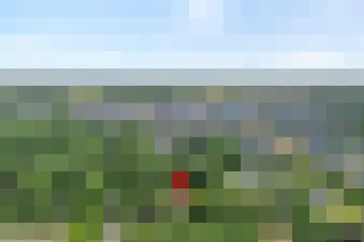 Gerner Es 12 A Dalfsen thumbnail 56