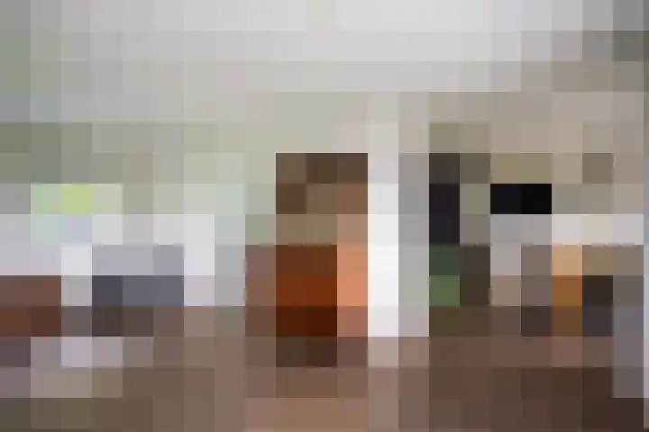 Gerner Es 26 Dalfsen thumbnail 11