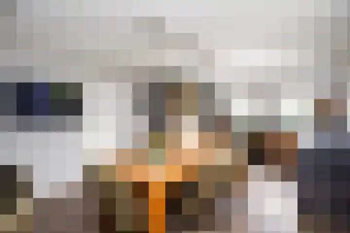Gerner Es 26 Dalfsen thumbnail 12
