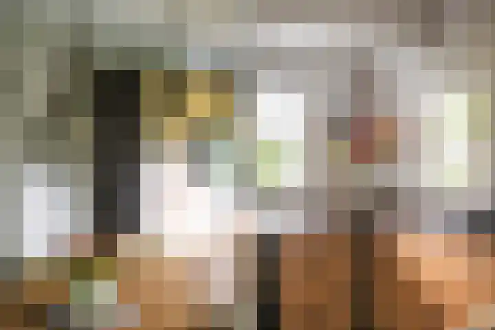 Gerner Es 26 Dalfsen thumbnail 13