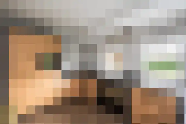Gerner Es 26 Dalfsen thumbnail 15