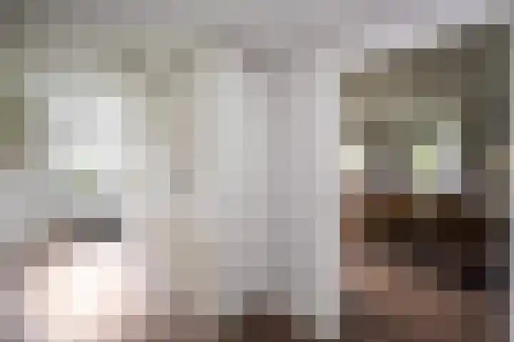 Gerner Es 26 Dalfsen thumbnail 16