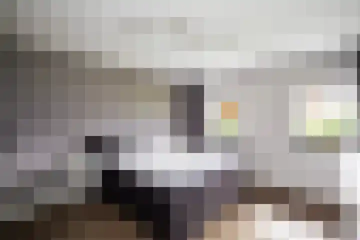Gerner Es 26 Dalfsen thumbnail 18