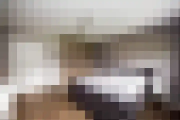 Gerner Es 26 Dalfsen thumbnail 19