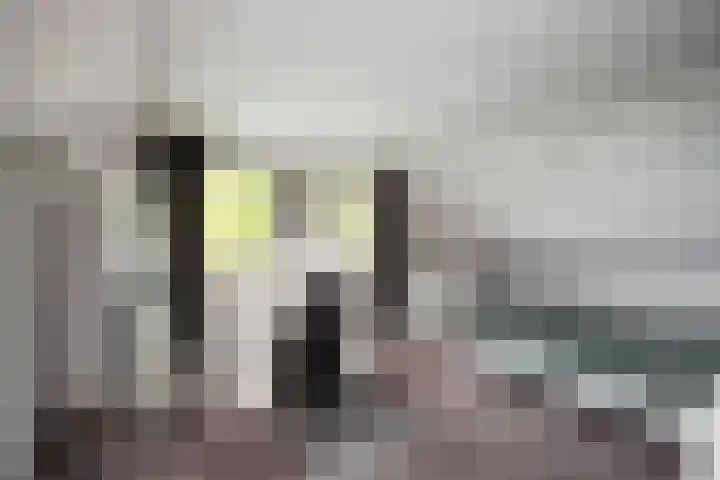 Gerner Es 26 Dalfsen thumbnail 23