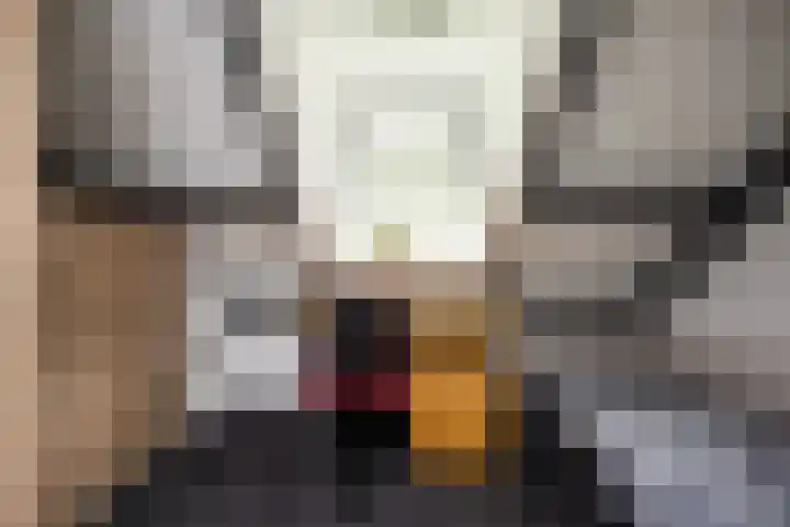 Gerner Es 26 Dalfsen thumbnail 25