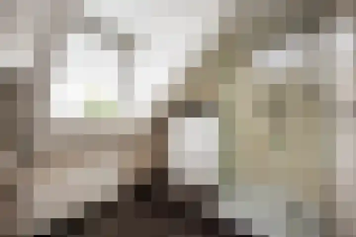 Gerner Es 26 Dalfsen thumbnail 26