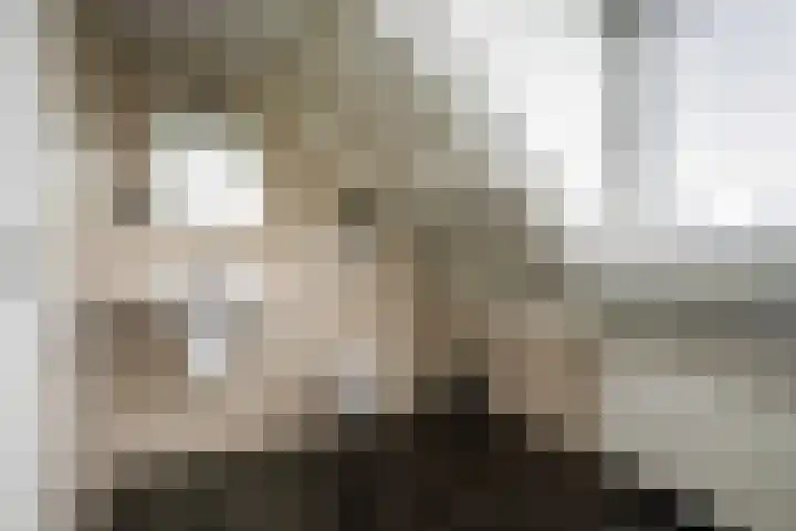 Gerner Es 26 Dalfsen thumbnail 27