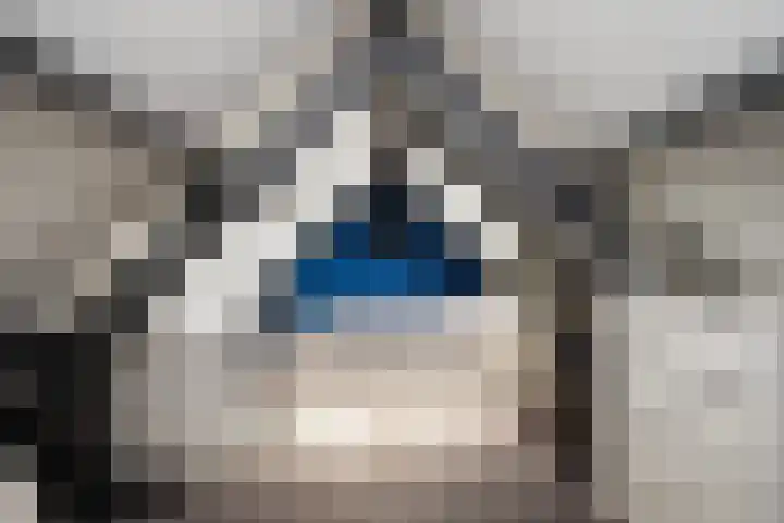 Gerner Es 26 Dalfsen thumbnail 28