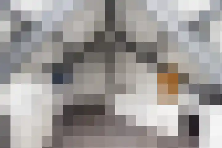 Gerner Es 26 Dalfsen thumbnail 29