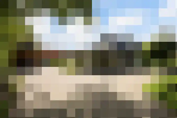 Gerner Es 26 Dalfsen foto 3