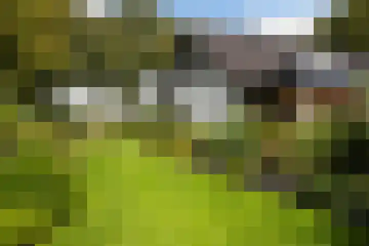 Gerner Es 26 Dalfsen thumbnail 30