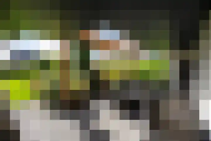 Gerner Es 26 Dalfsen thumbnail 31