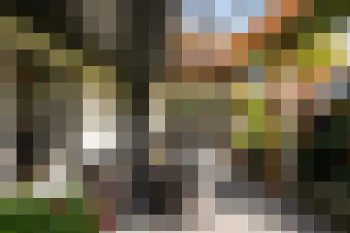 Gerner Es 26 Dalfsen thumbnail 33