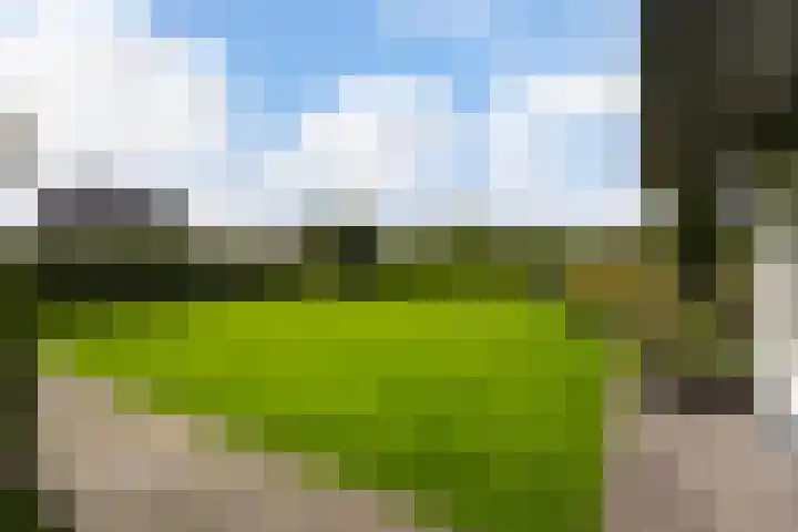Gerner Es 26 Dalfsen thumbnail 34